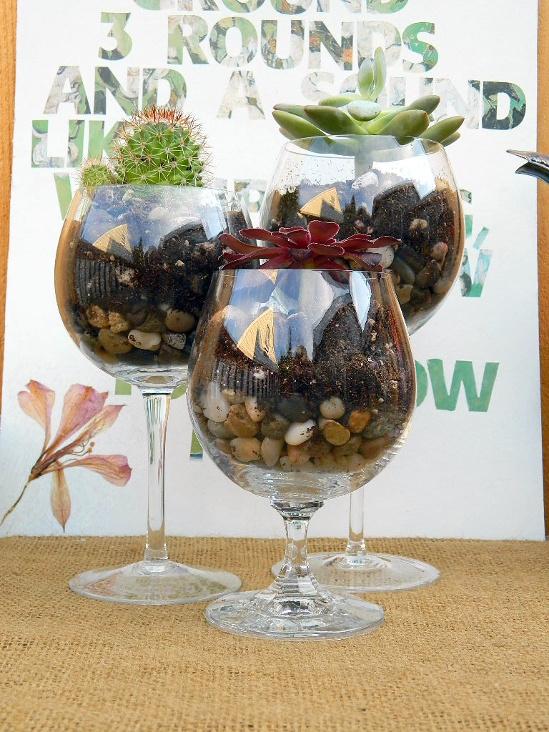 Wine Glass Terrariums - Fair Robin Revival