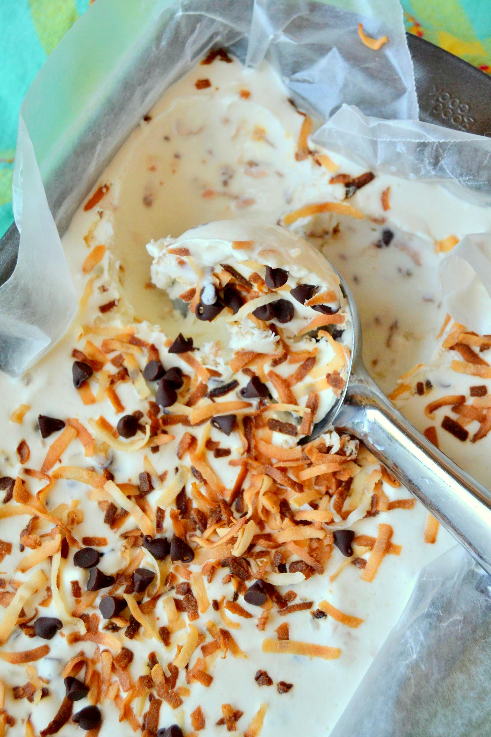 Toasted Coconut and Chocolate Chip Ice Cream