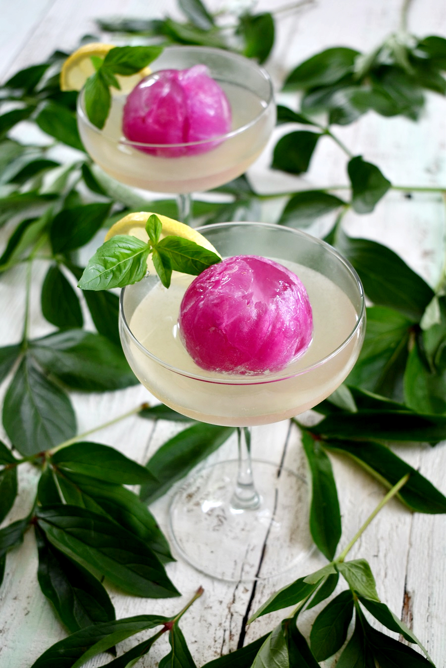 Peony Petal Gin Martini